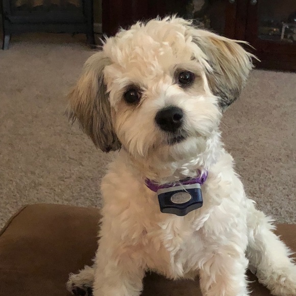 Meet your Posher, Katelyn - Picture 1 of 1